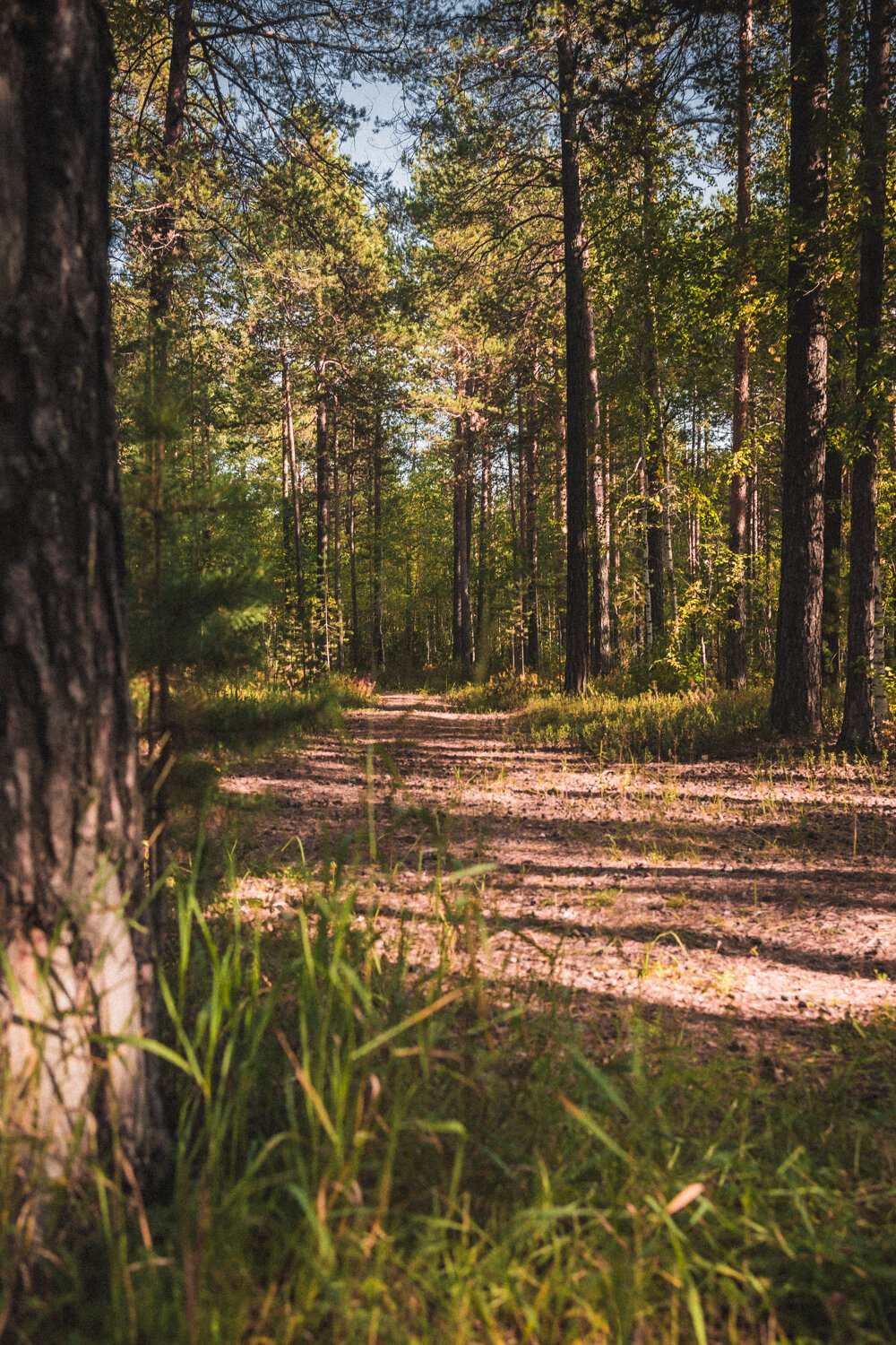 Фото Ливадия