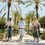 Shimano Bicycle (Izmir, Konak District, Poet Esref Boulevard, 6A), tienda de bicicletas