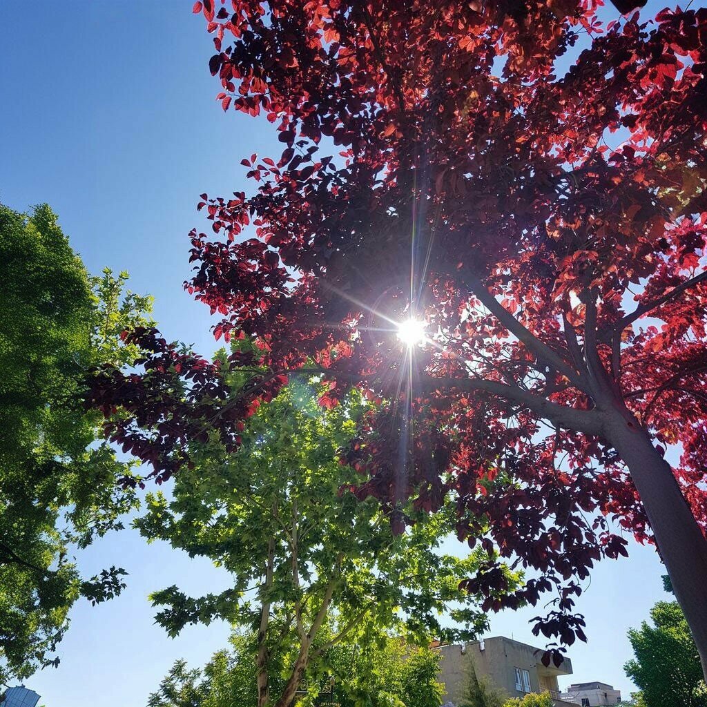 Park Kine Em Park, Batman, photo