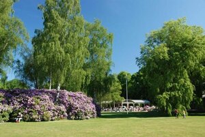 Гостиница Café Mandeltårtan B&b VillaFloraViola