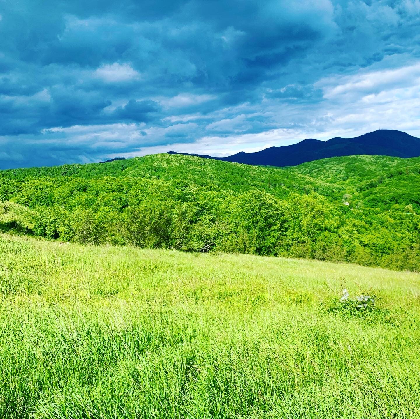 Фото Вилла Фамилия