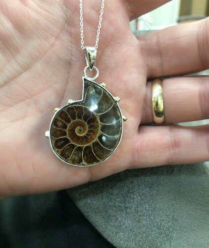 Asil Kuyumculuk Fotoğraf 1