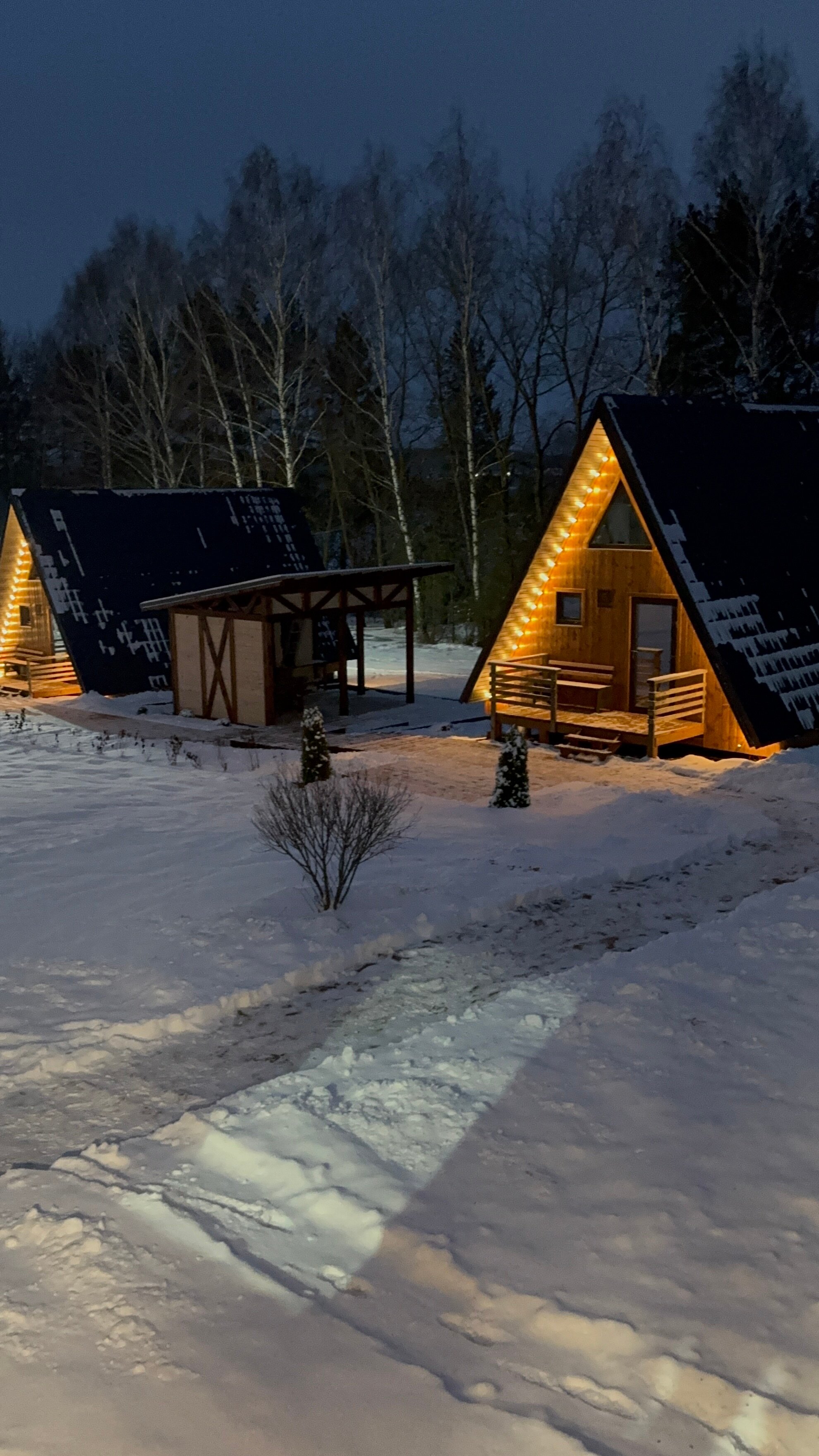 Фото Караси