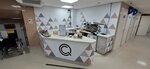 Cappuccino Queen (Ligovskiy Avenue, 274) ، مقهى