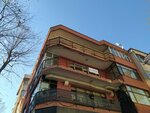 Financial Advisor Billur Gonen (İstanbul, Kadikoy, Suadiye Mah., Kurudere Sok., 37), accountants