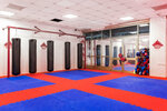 Moscow Martial Arts School (Bolshaya Filyovskaya Street, 18), sports club