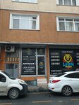 Lion Pleksi (İstanbul, Esenler, Menderes Mah., Piri Reis Cad., 16), auto accessories