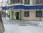 Qiwi (Bauyrzhan Momyshuly Avenue, 28), payment terminal