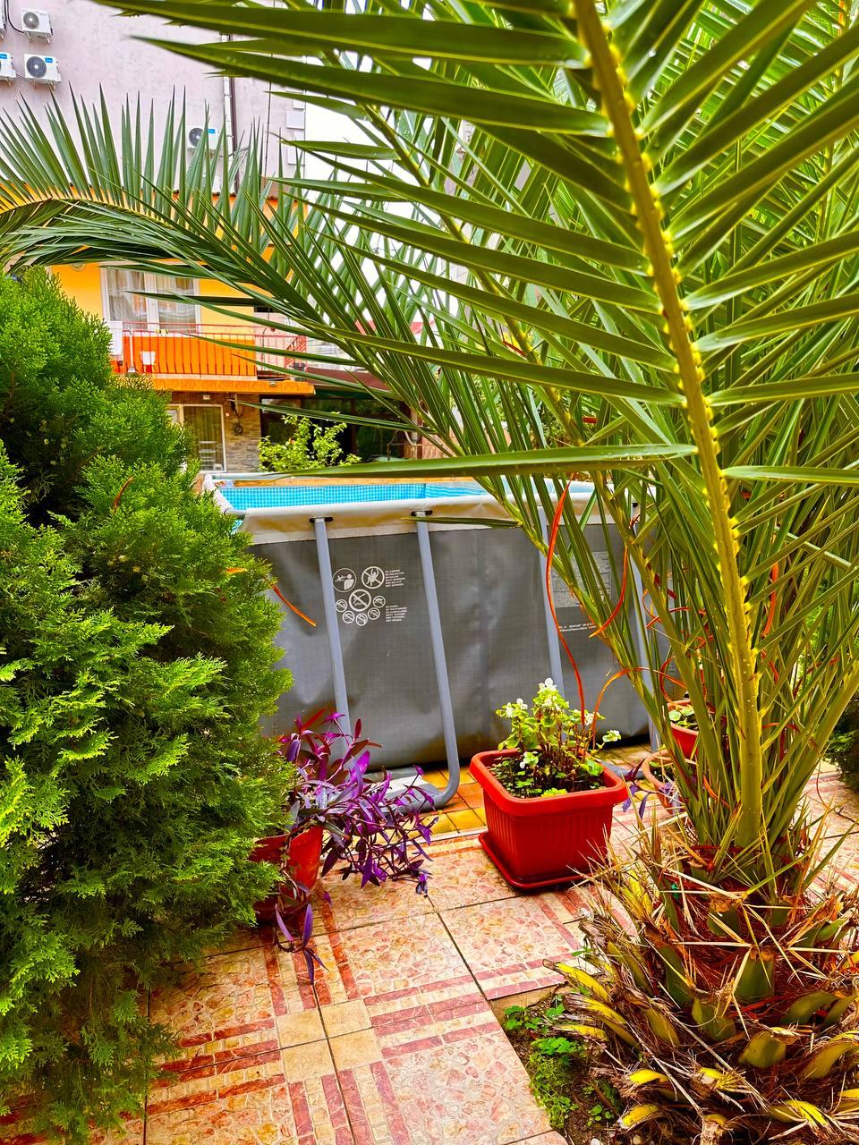 Фото Белый парус