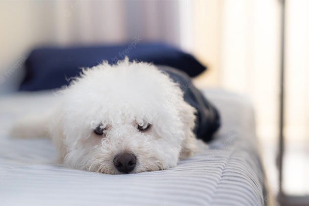 Фото Измайлово Тур