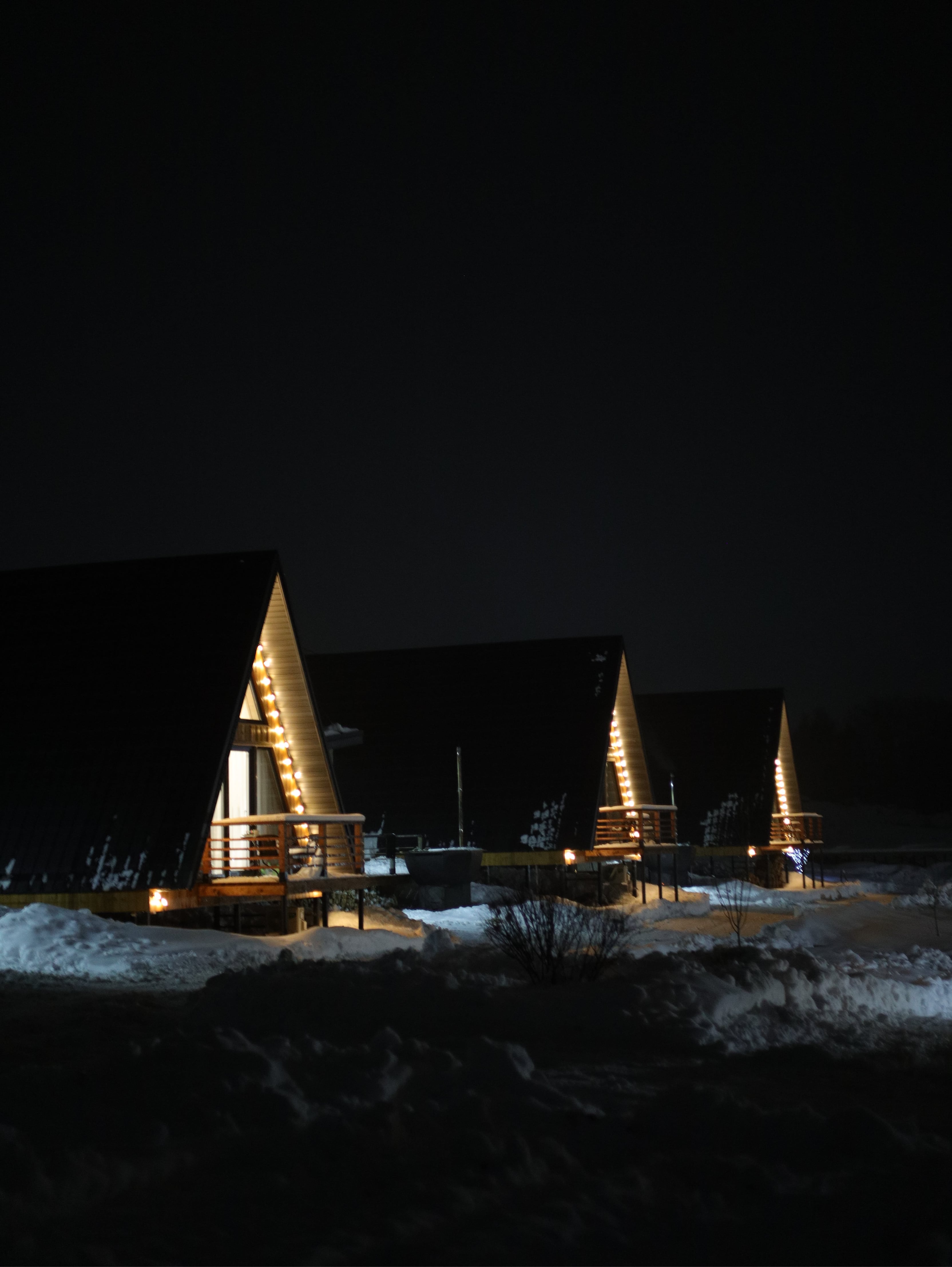 Фото Караси