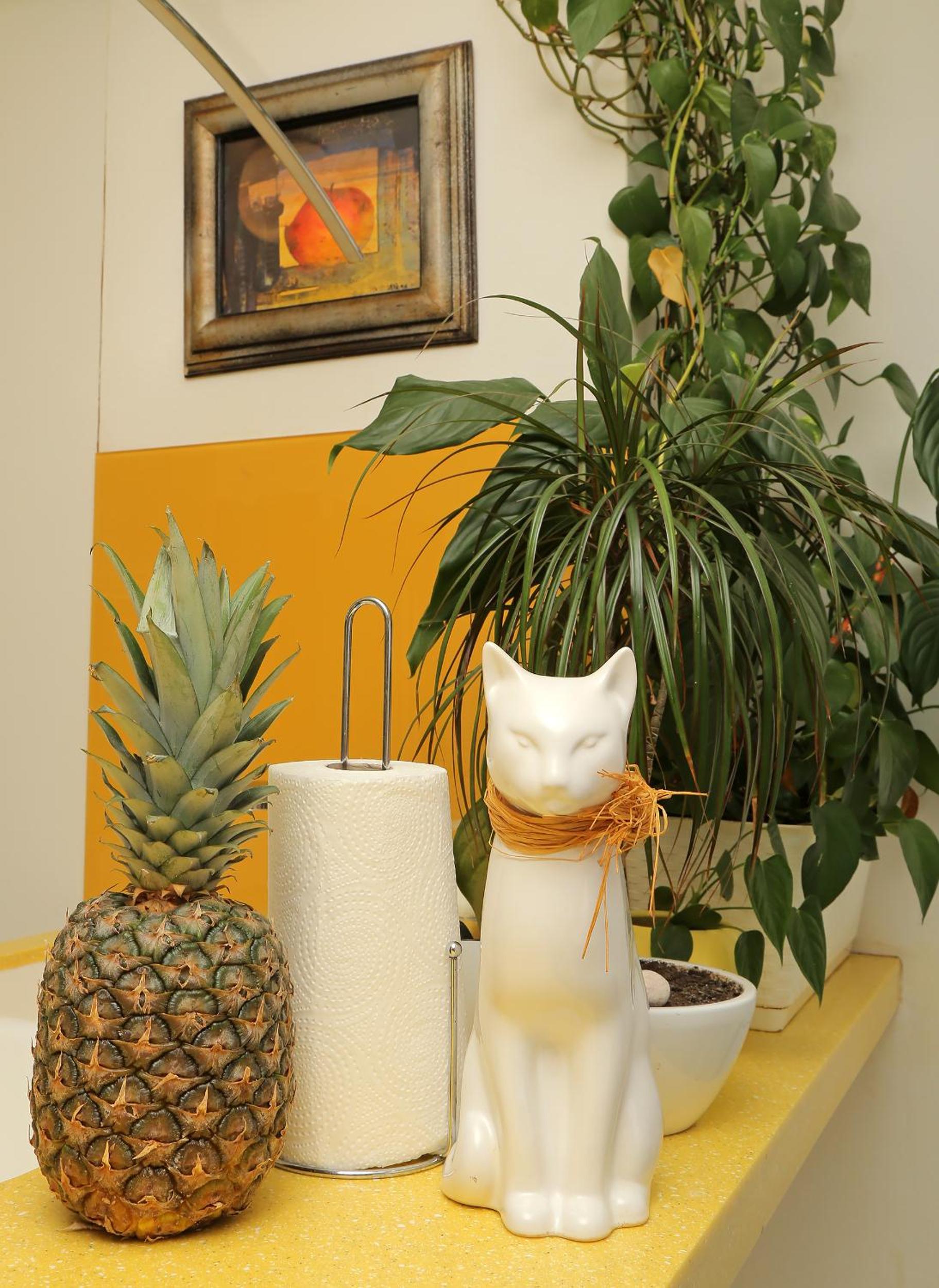 Фото Kate´s Place