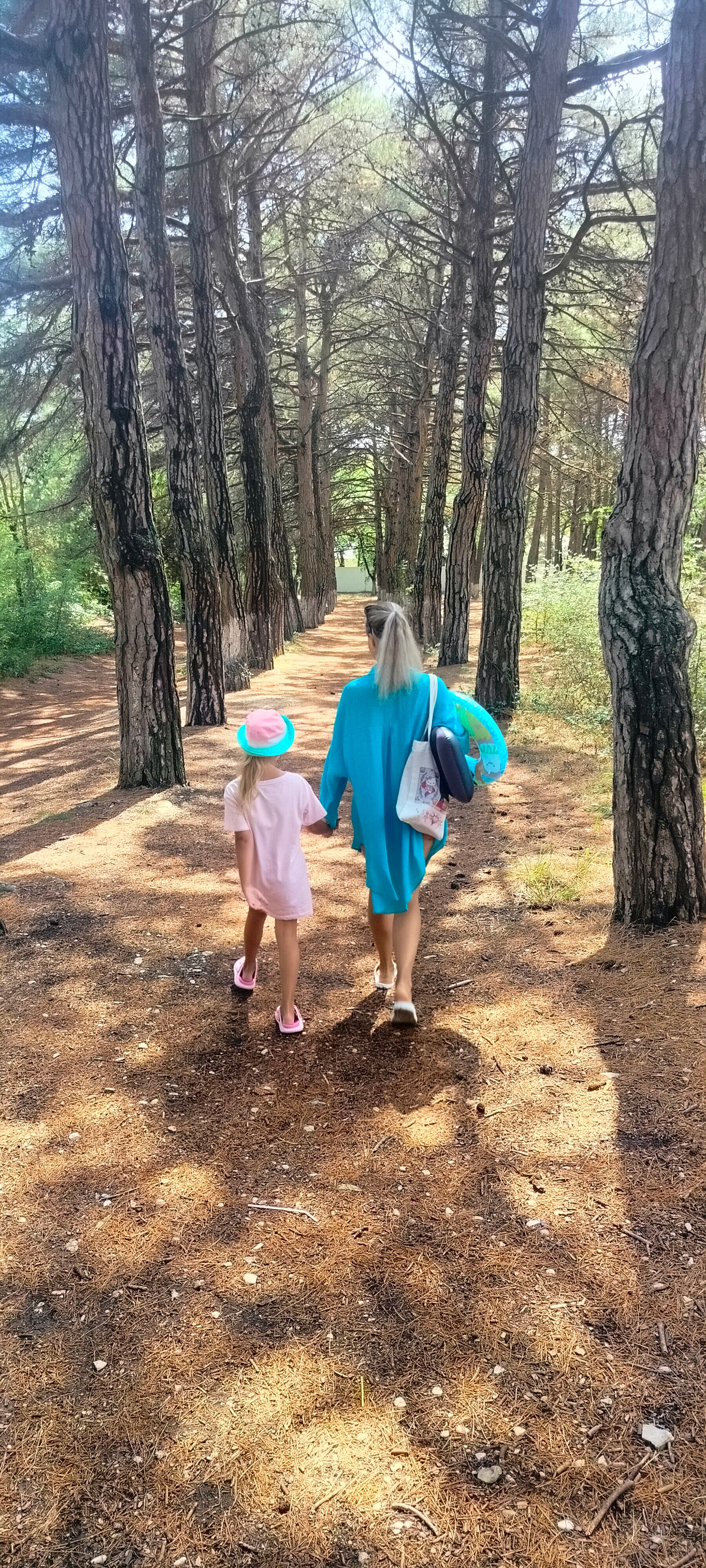 Фото Миротель