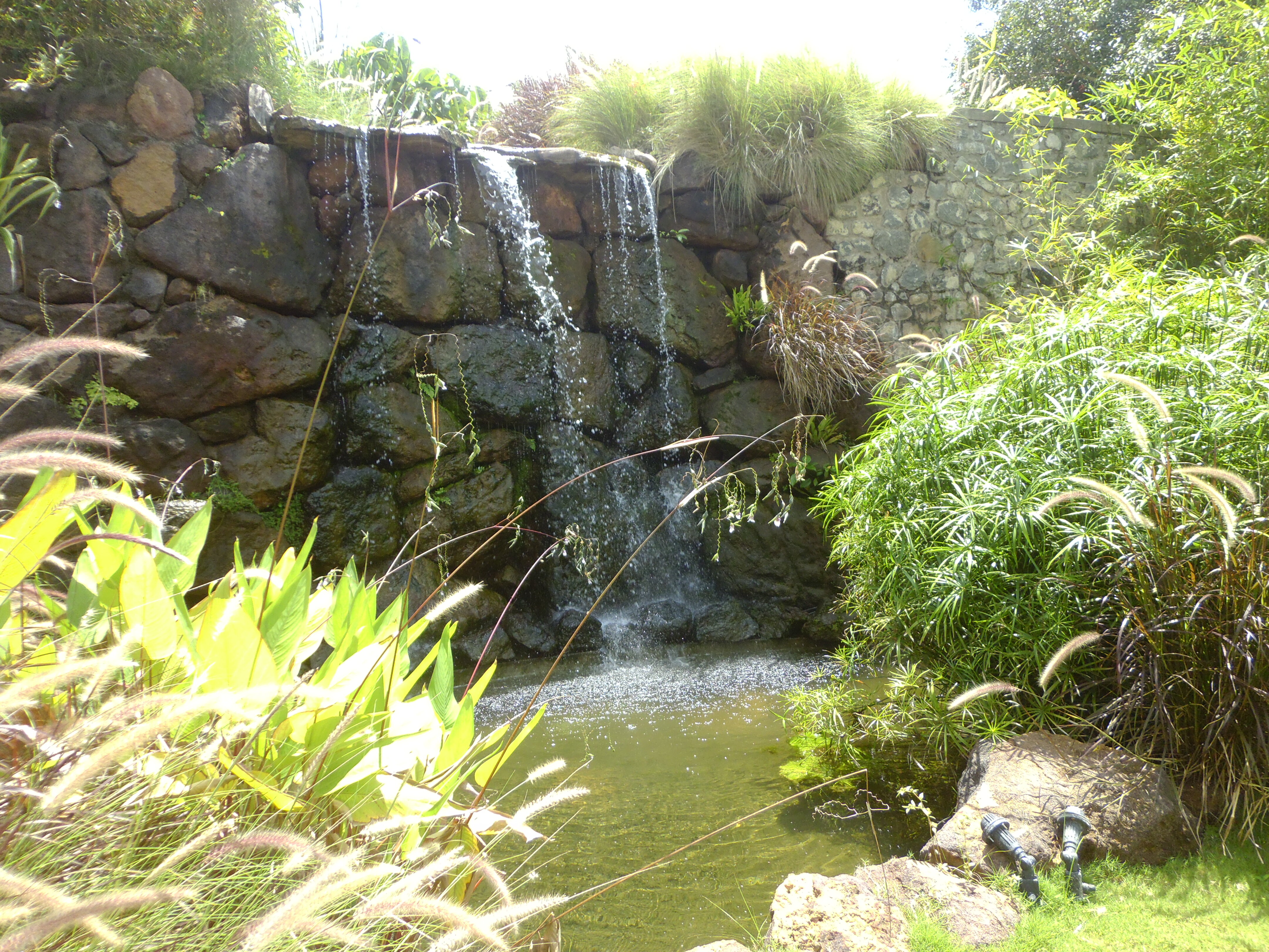 Фото Niraamaya Surya Samudra