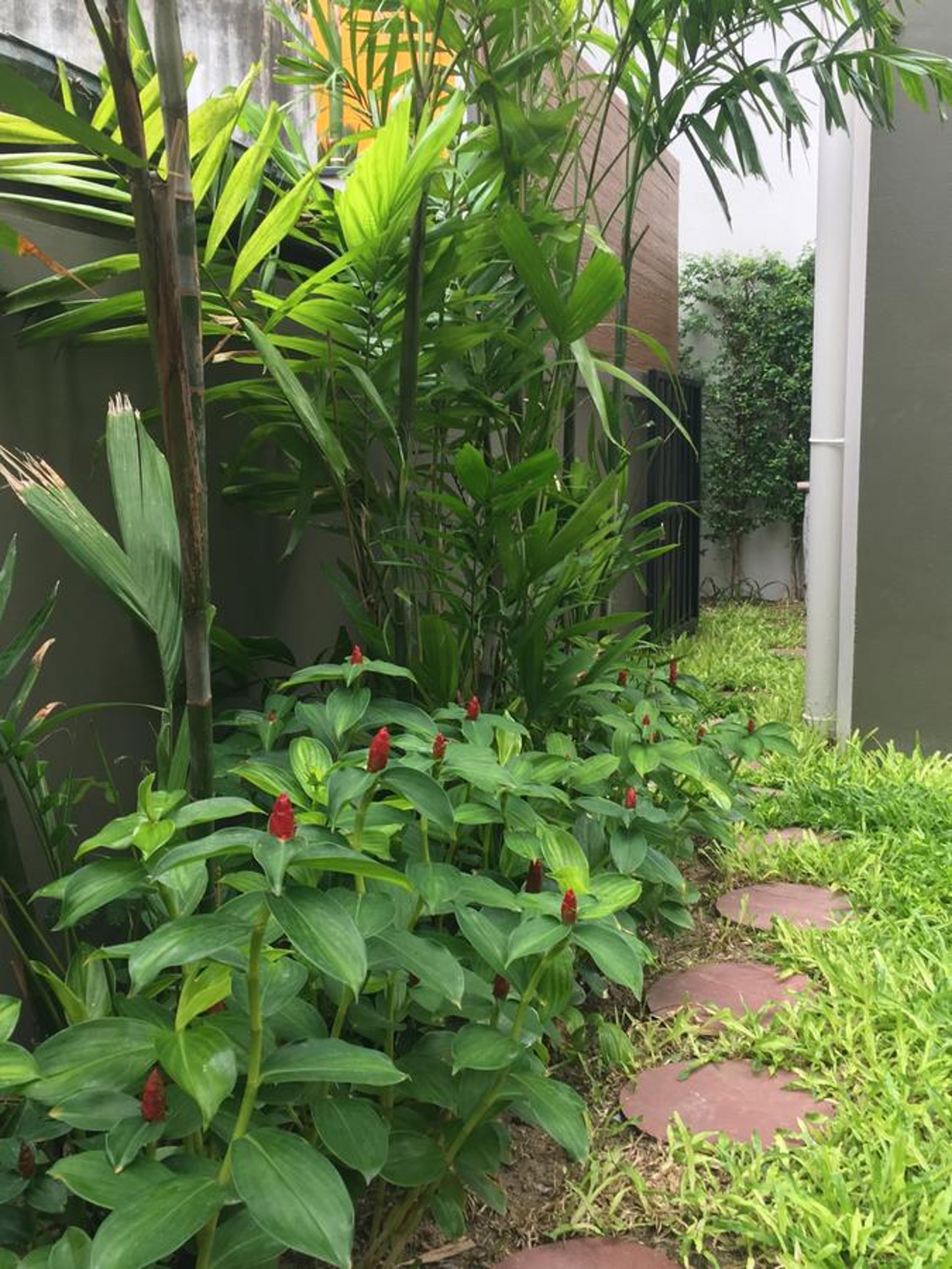 Фото Tandeaw View