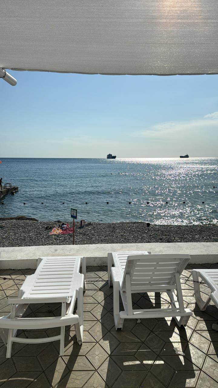 Фото Ласточка