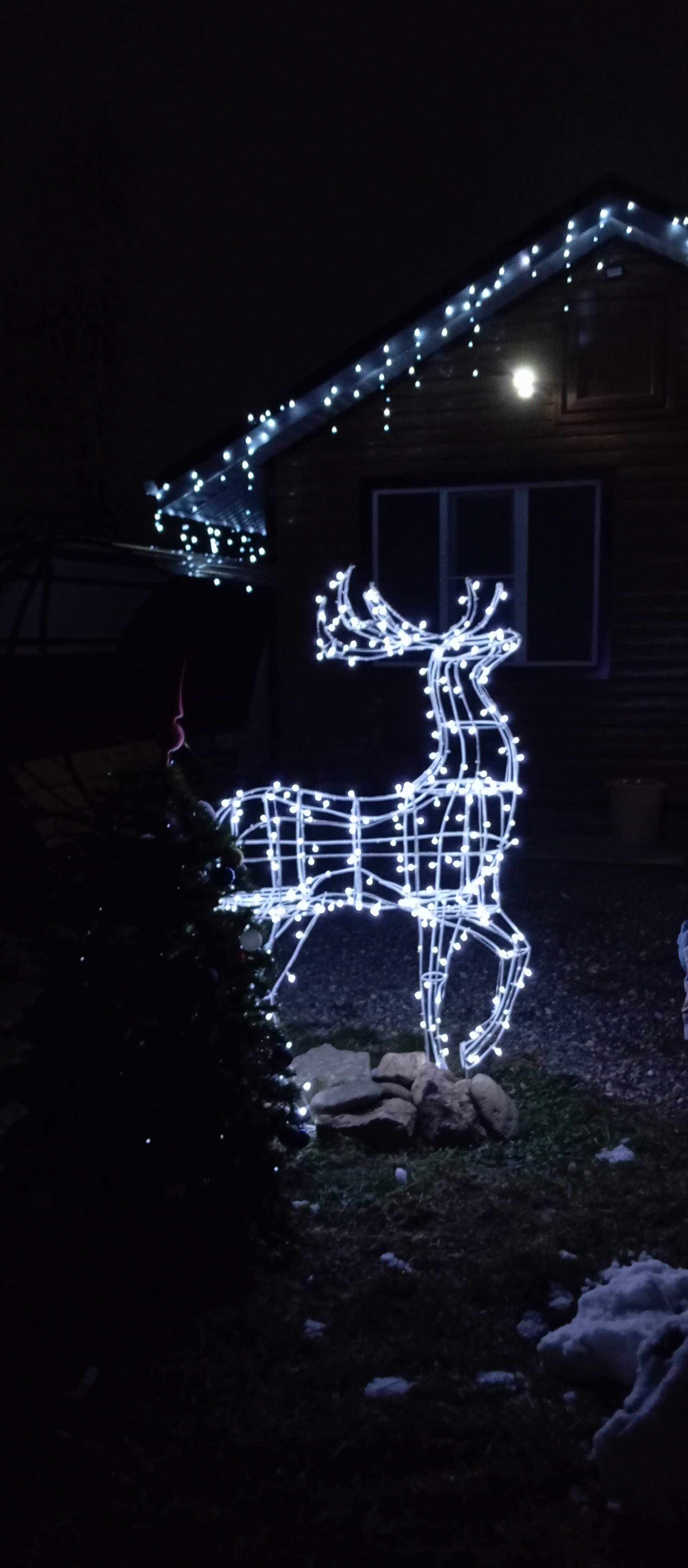 Фото Атмосфера