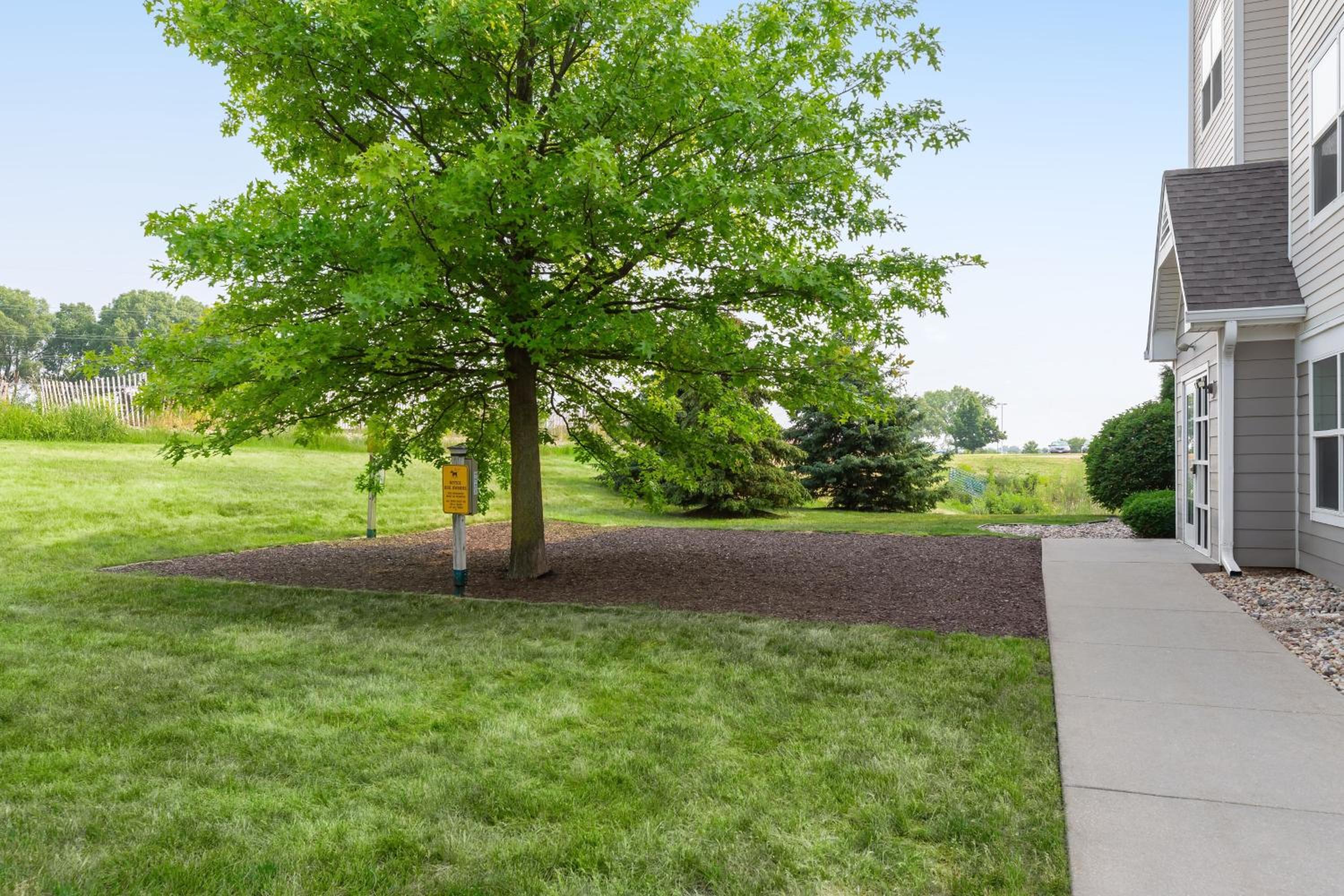 Фото Residence Inn by Marriott Madison West/Middleton