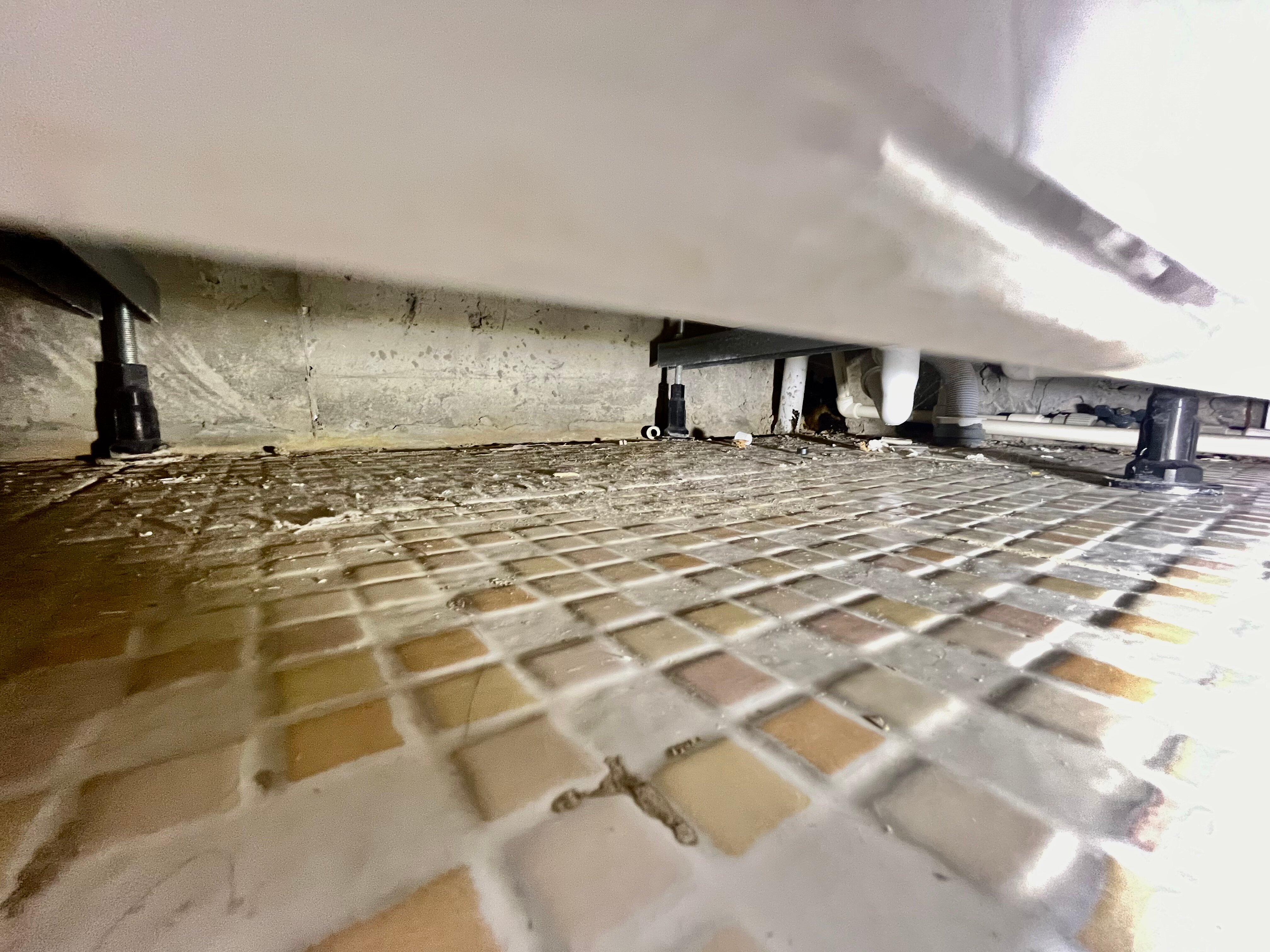 Фото Козырь