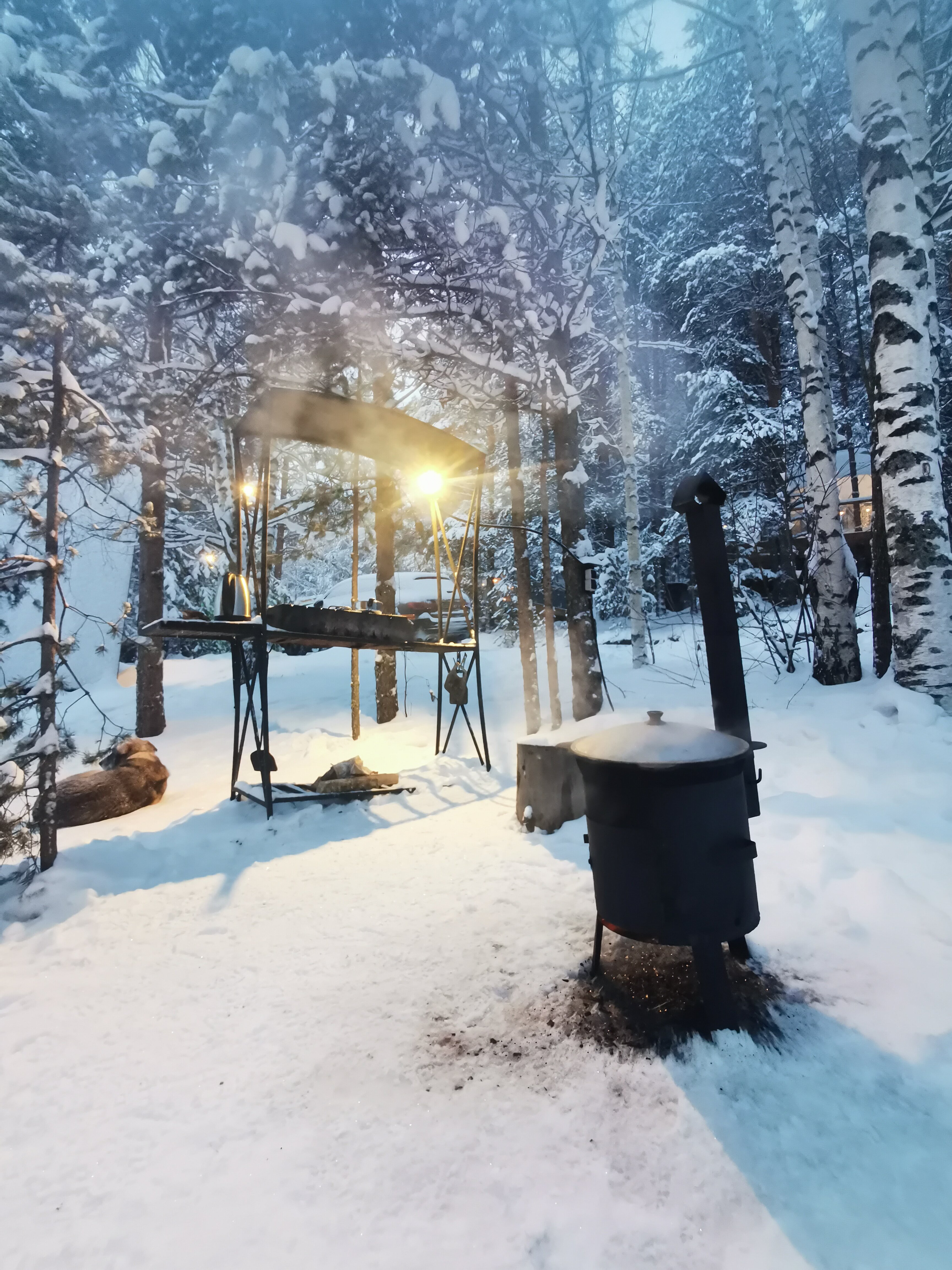 Фото Aldi Karelia