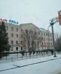 Adilet (Qurmangazy Street, 80/2), exámenes ecográficos