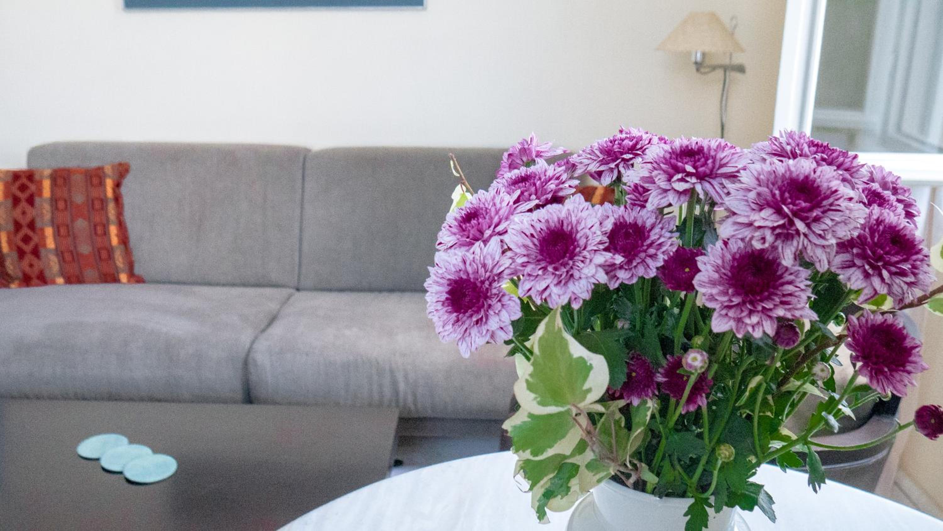 Фото Villa Andromeda