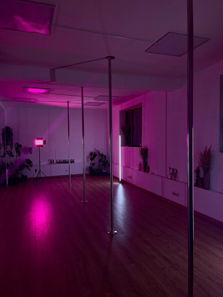 Dance school Exoroom, Tula, photo