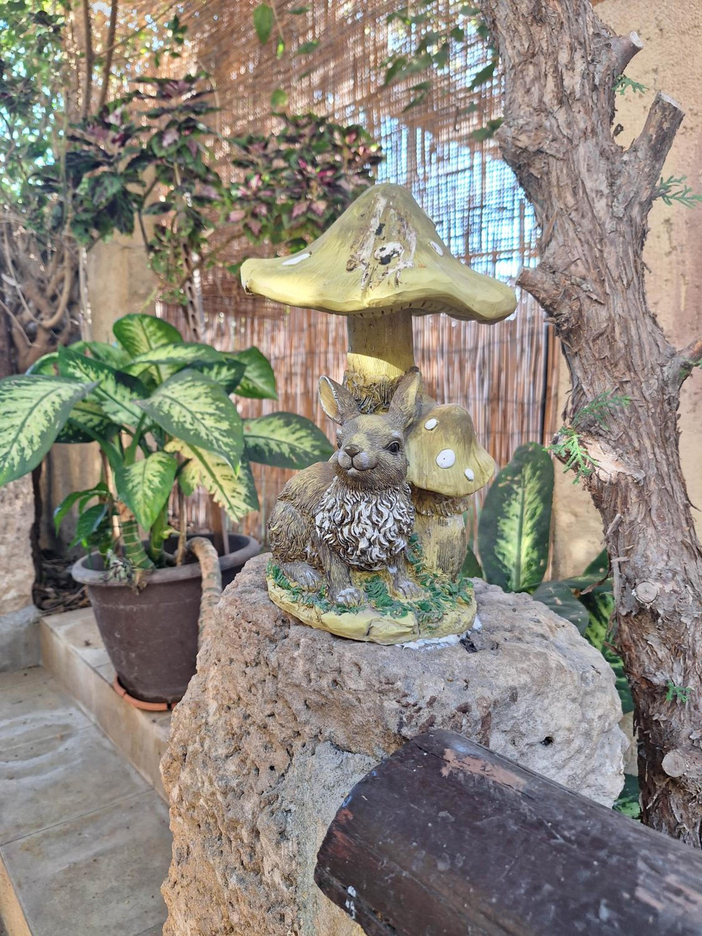 Фото Apollonia Holiday Apartments