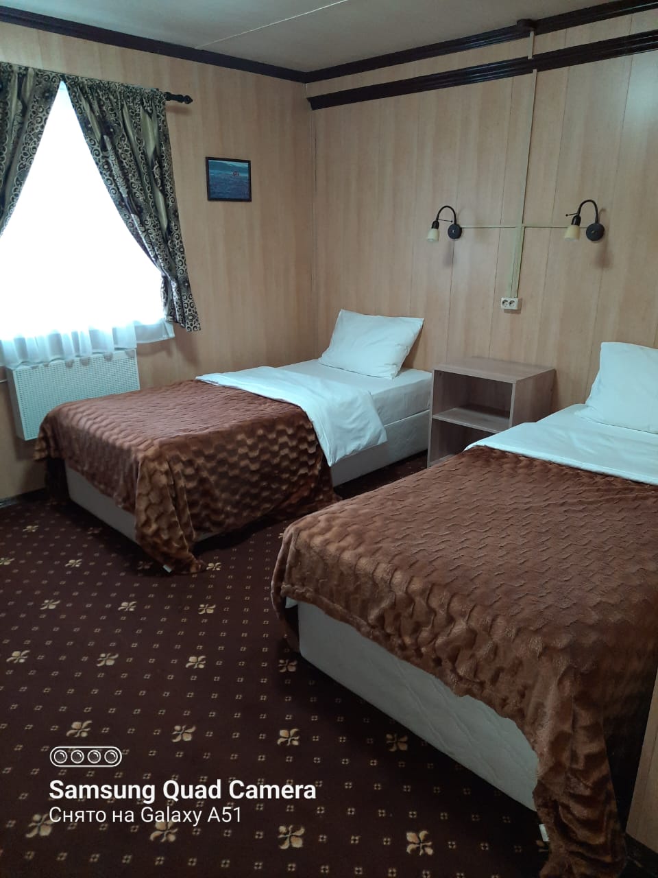 Фото Пеликен