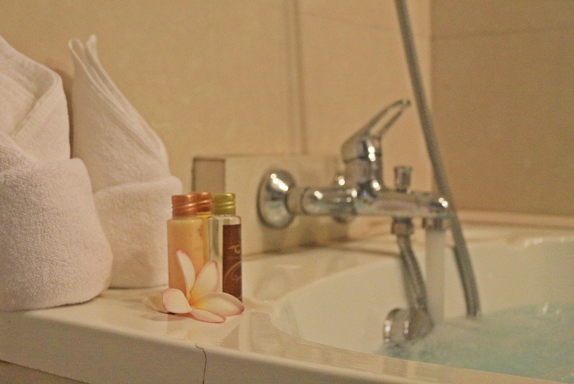 Фото Royal Lee Resort & SPA