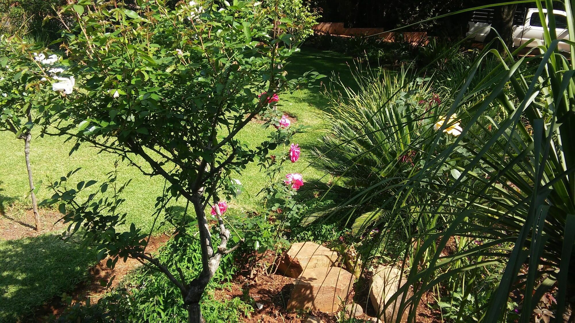 Фото Dublin Guest Lodge