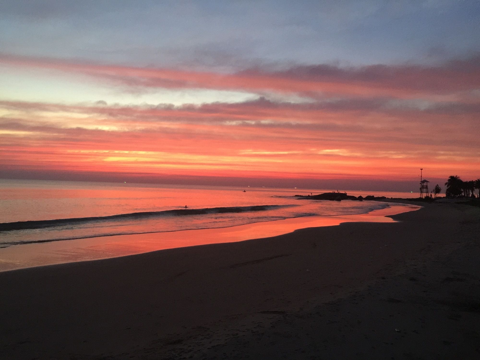 Фото Tree Roots Retreat