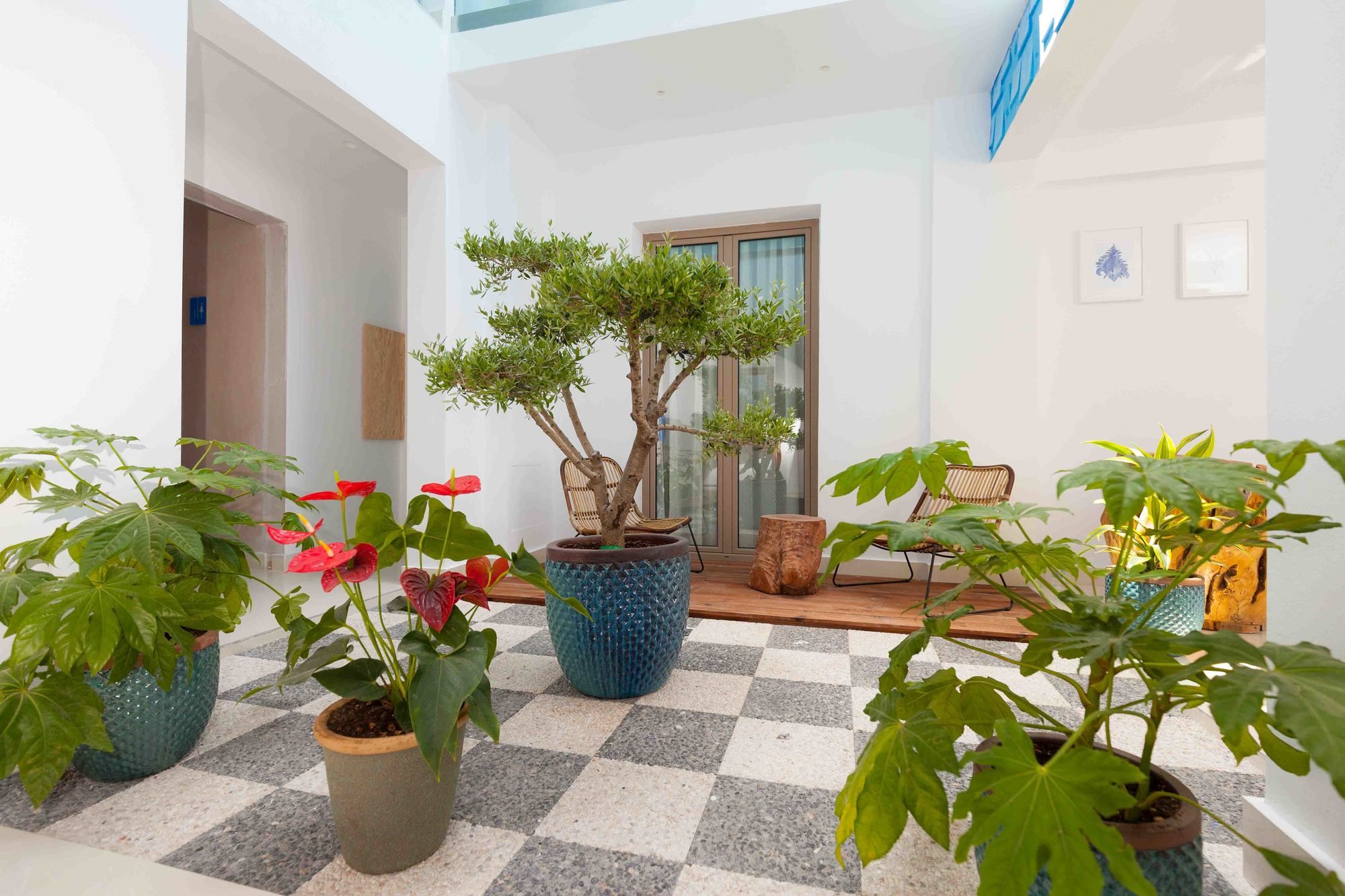 Фото Enorme Serenity Spritz - Adults Only