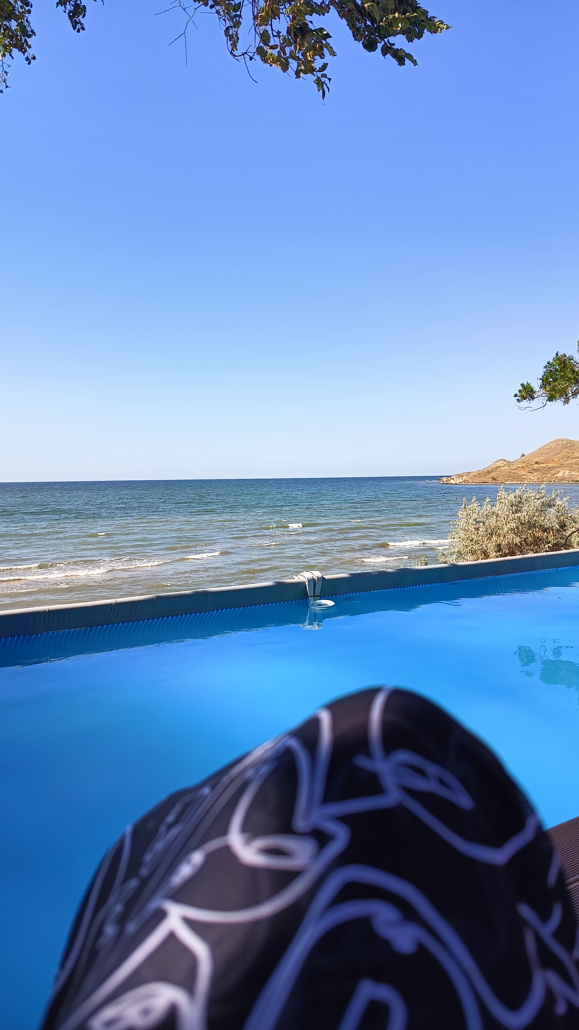 Фото Амбассадор