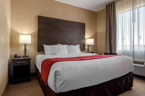 Гостиница Comfort Suites Mobile