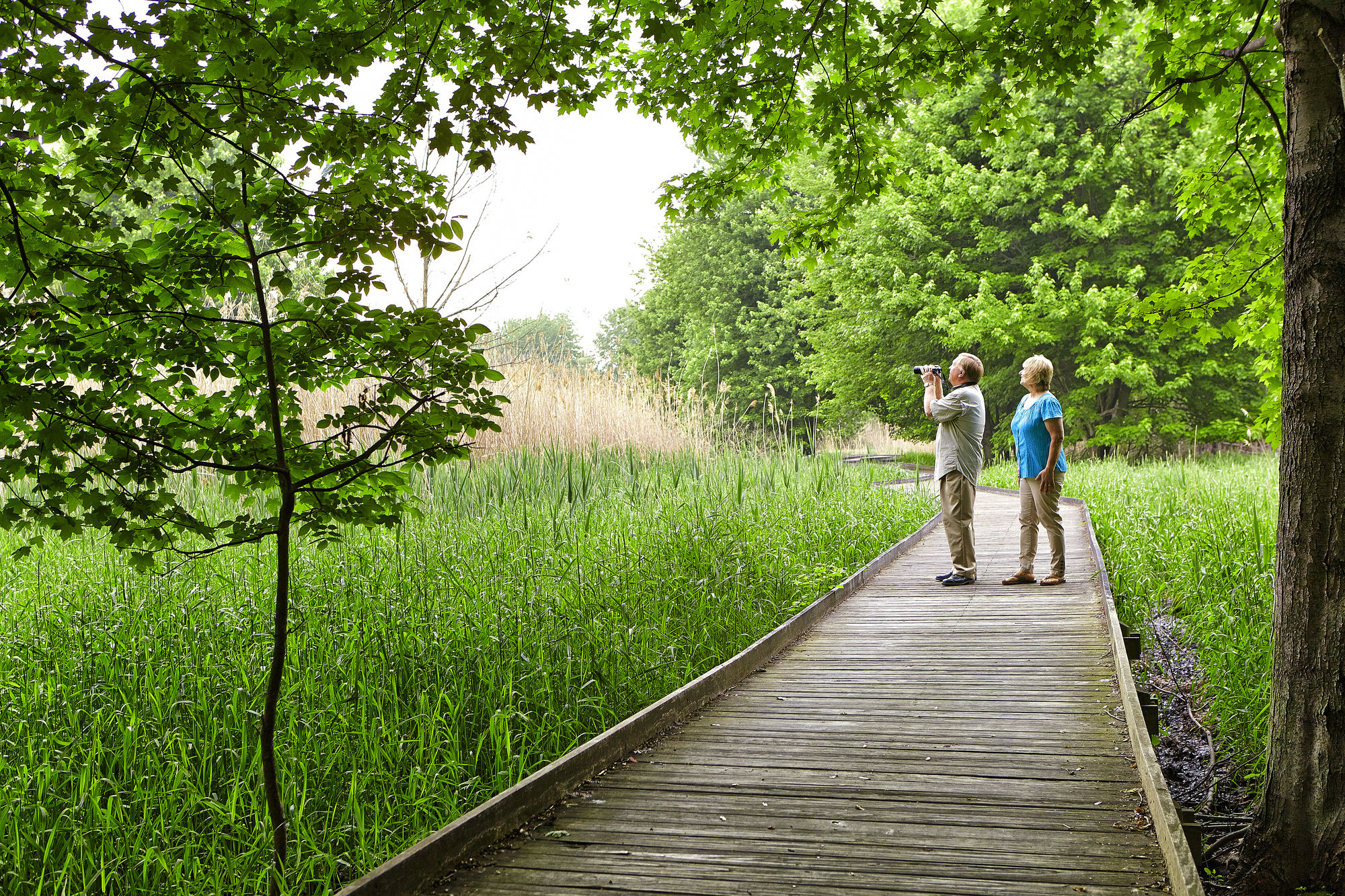 Фото Maumee Bay Lodge and Conference Center