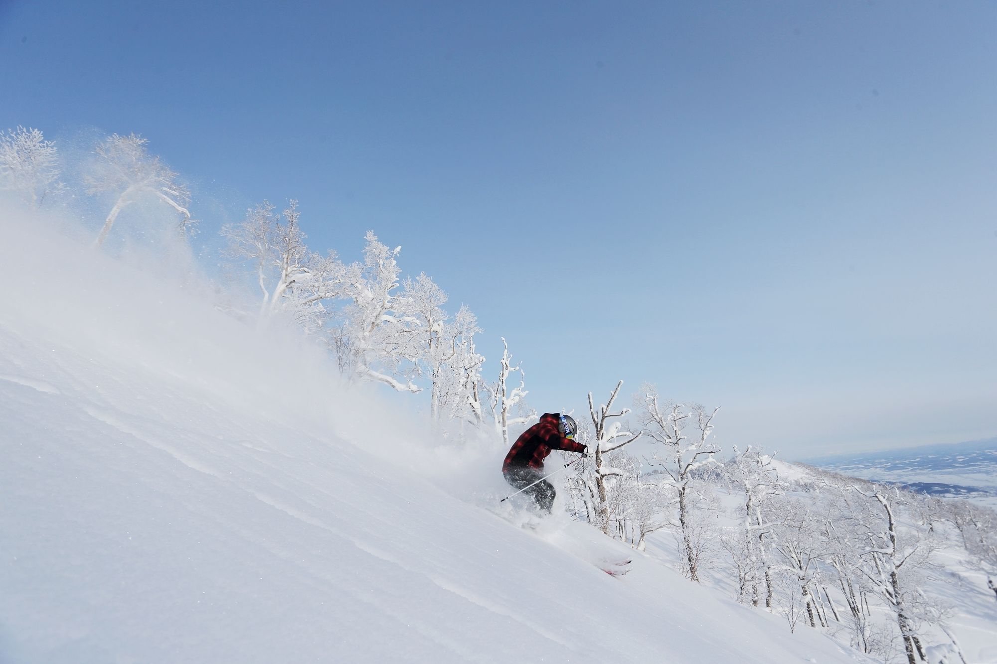 Фото Shin Furano Prince Hotel