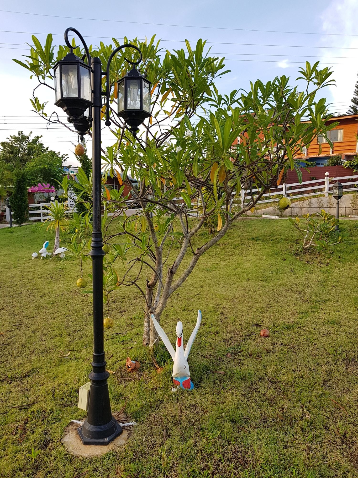 Фото Mossview Resort