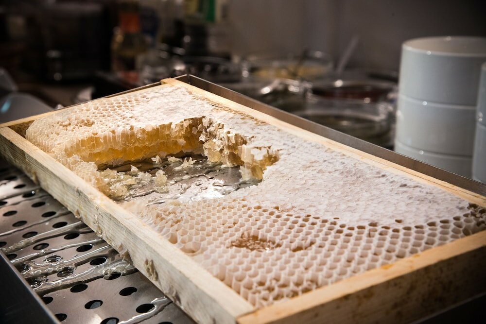 Фото Rosslyn Thracia Hotel