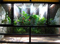 Фото Birds and Bees Resort