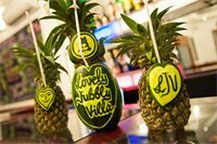 Фото Lovely Jubbly Villa