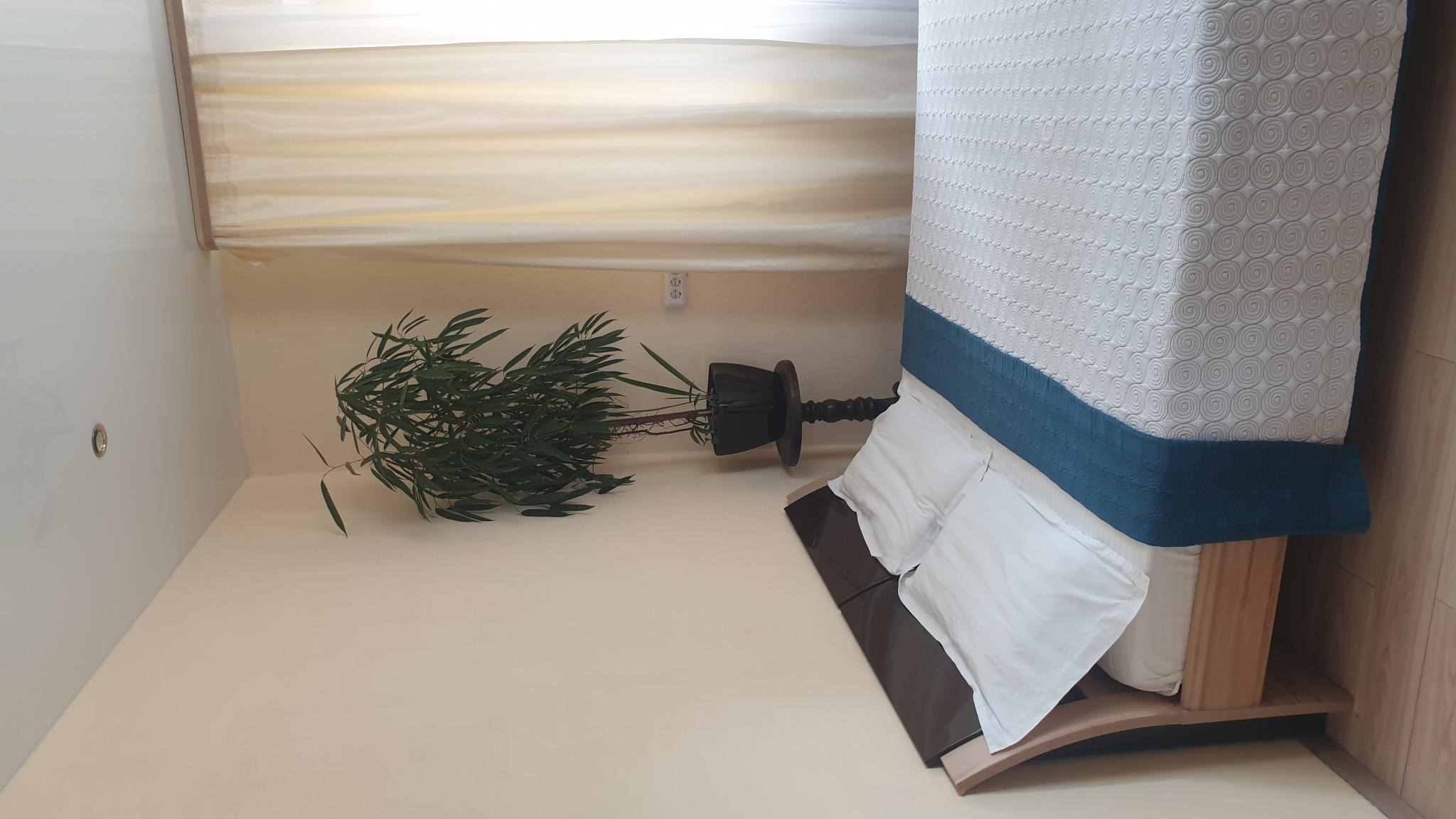 Фото Зелёная Лампа