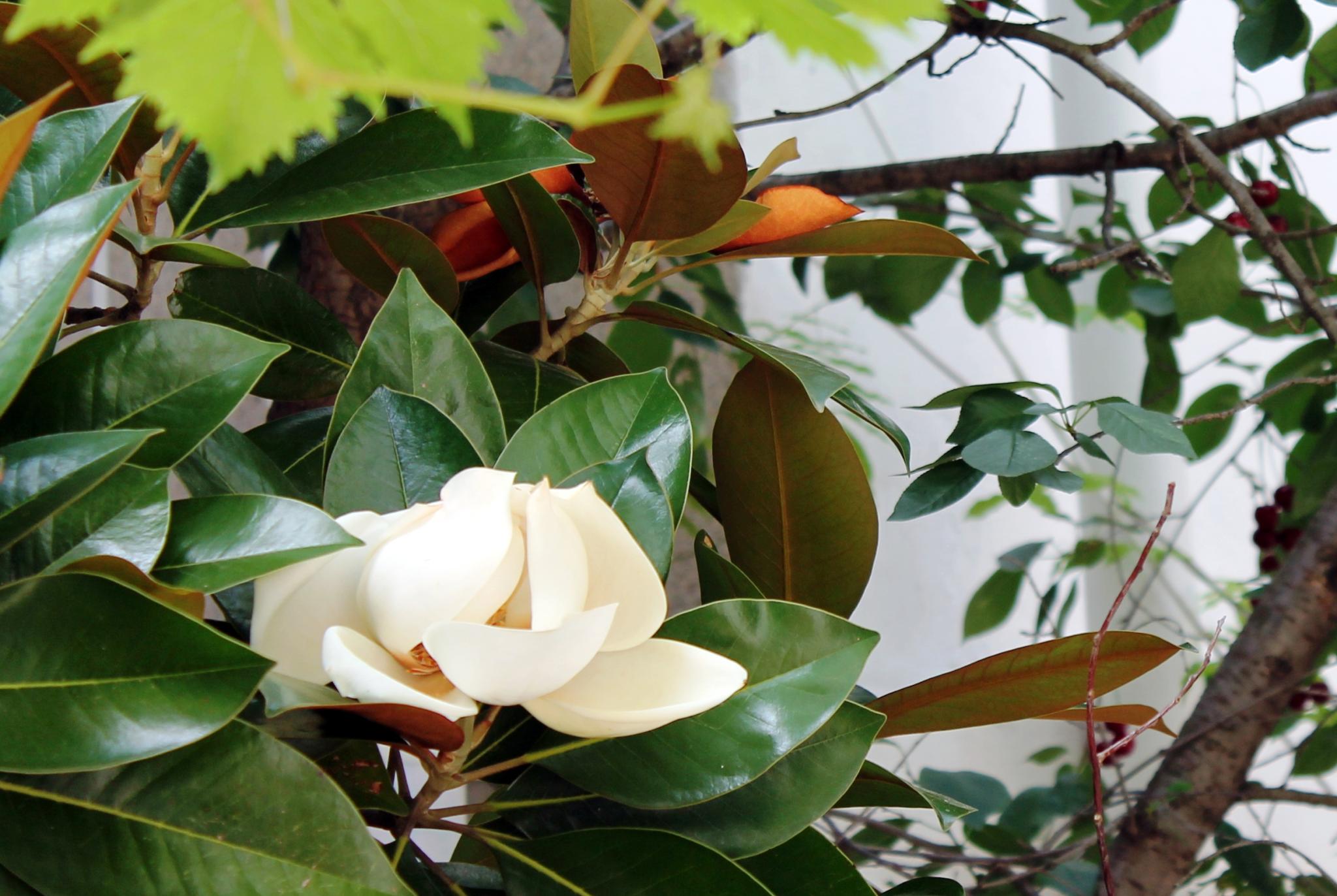 Фото Радмир