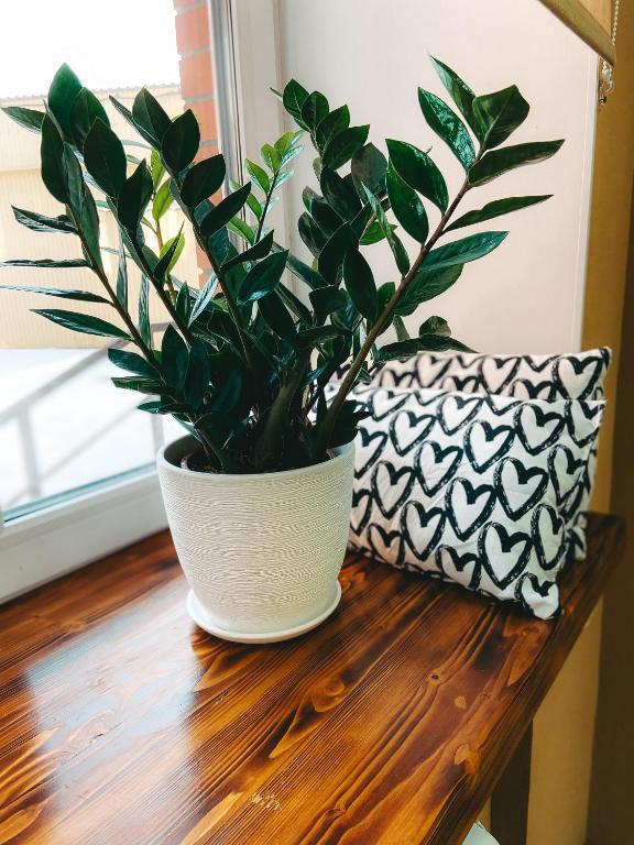 Фото 40 Подушек