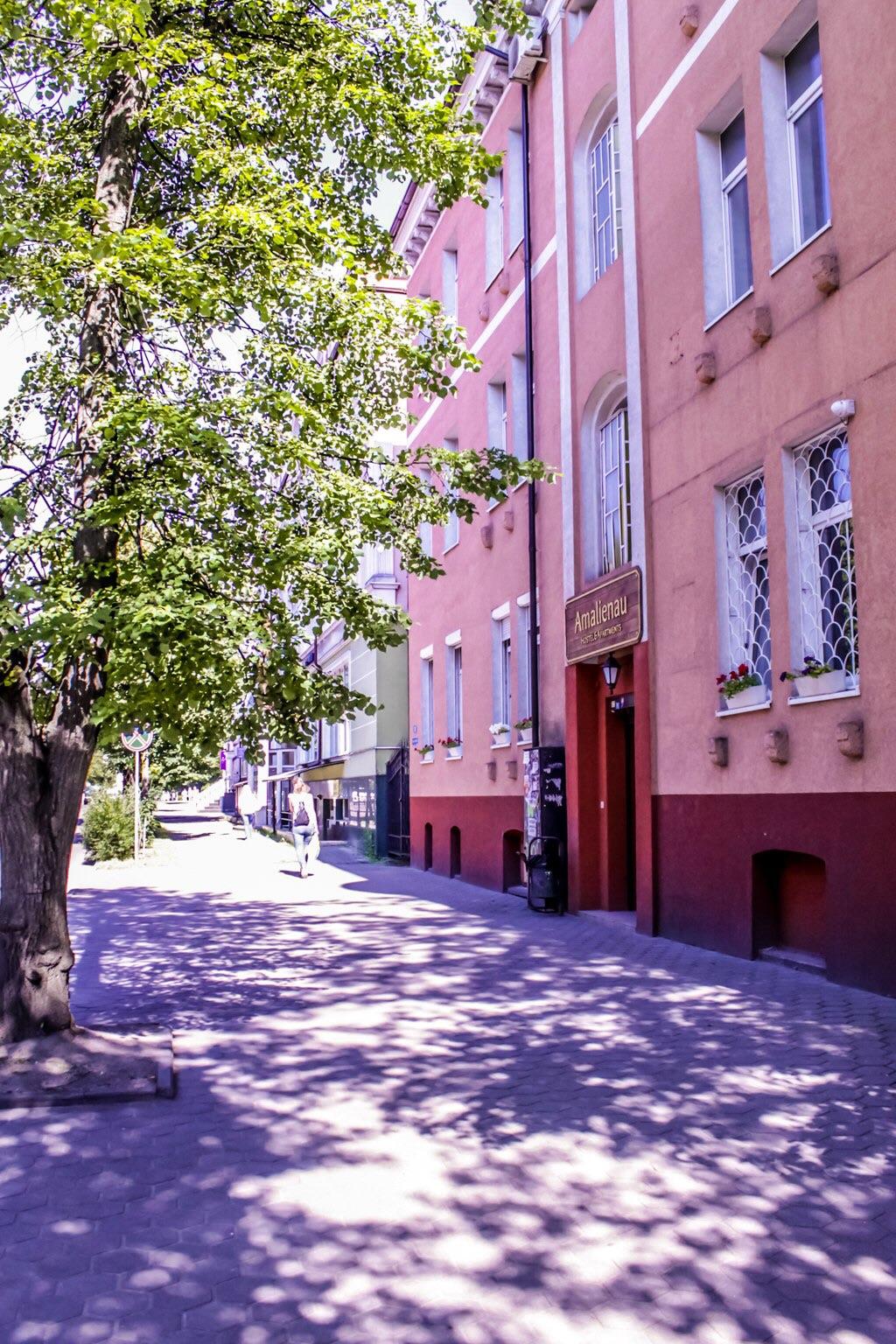 Фото Amalienau Hostel&Apartments