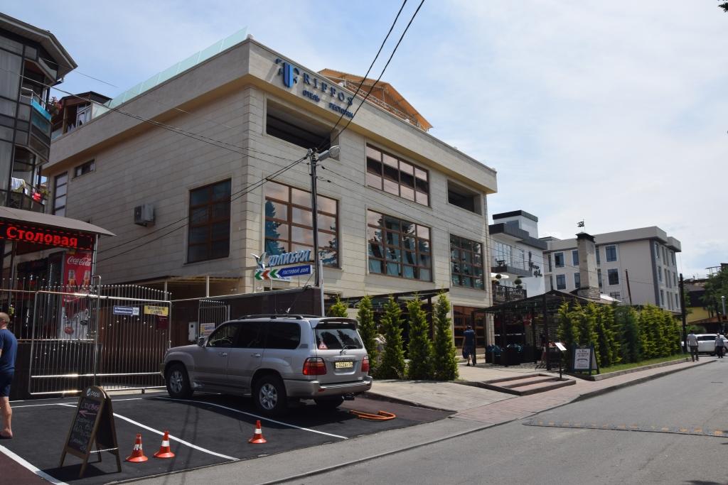 Фото Колибри