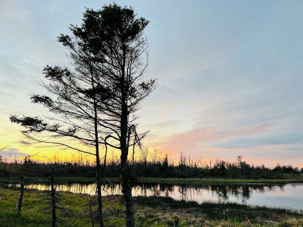 Фото Del Mar cottages