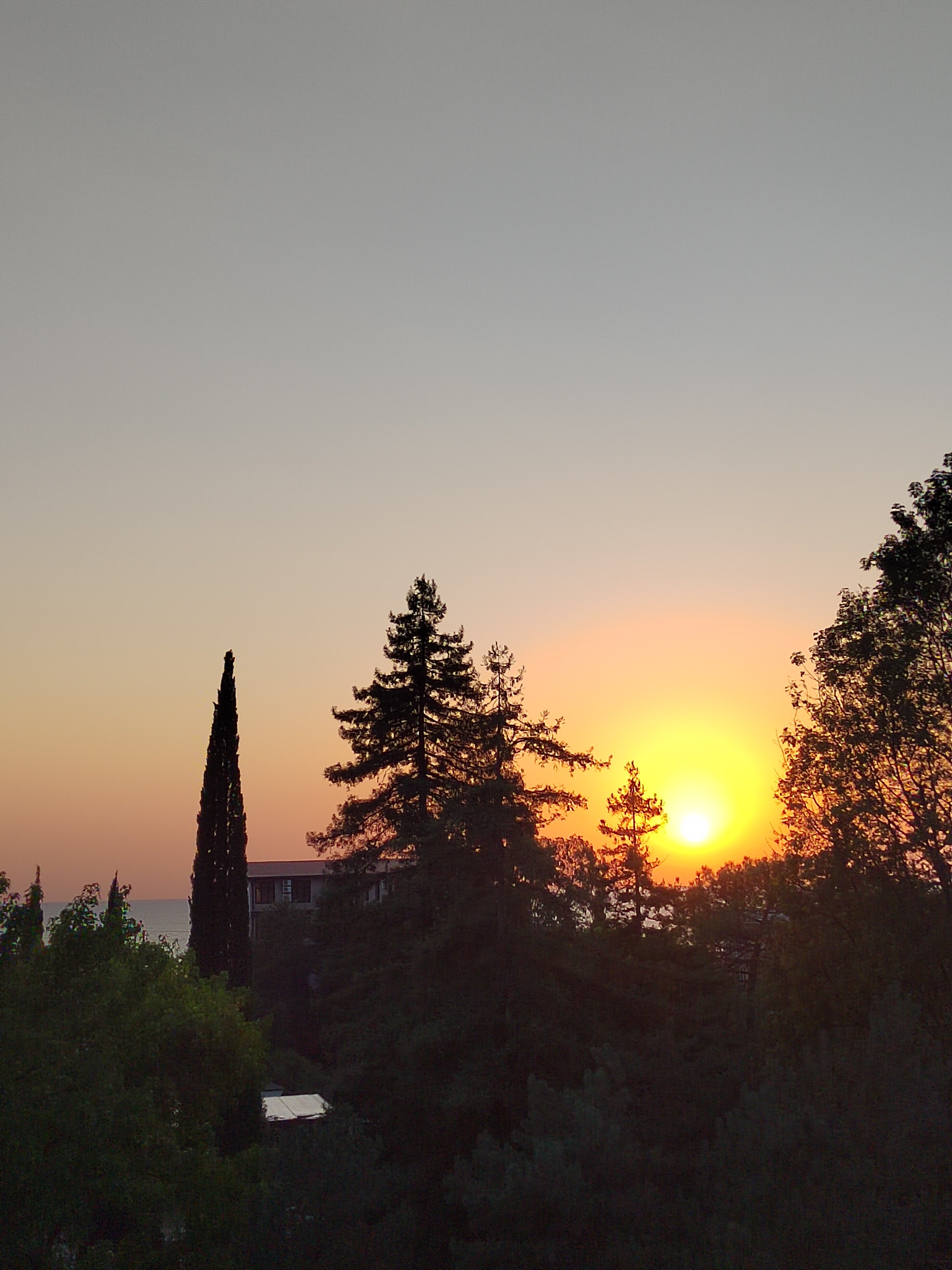 Фото Сеть отелей Олимпия отель Алые паруса