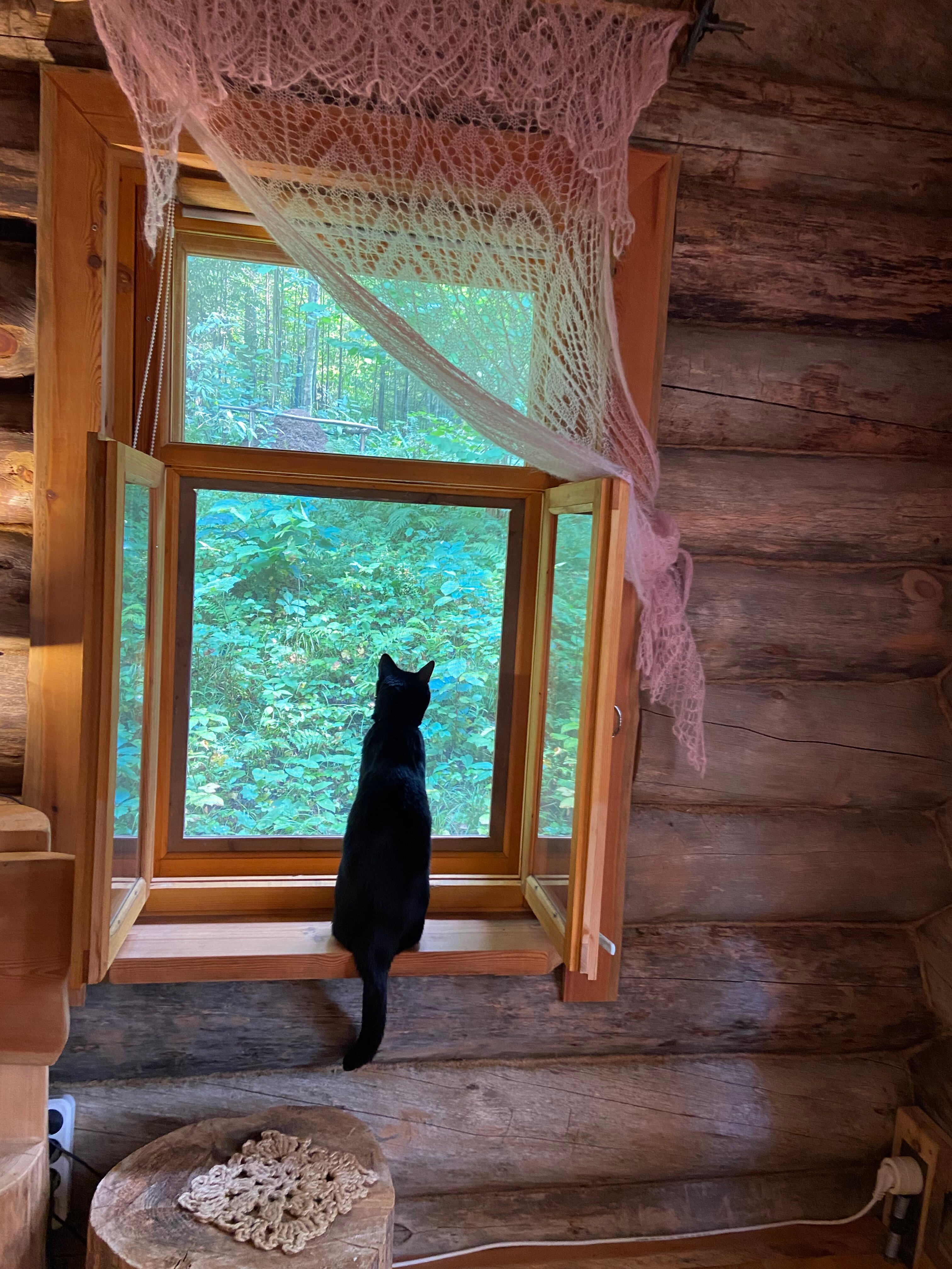 Фото У Лыжника