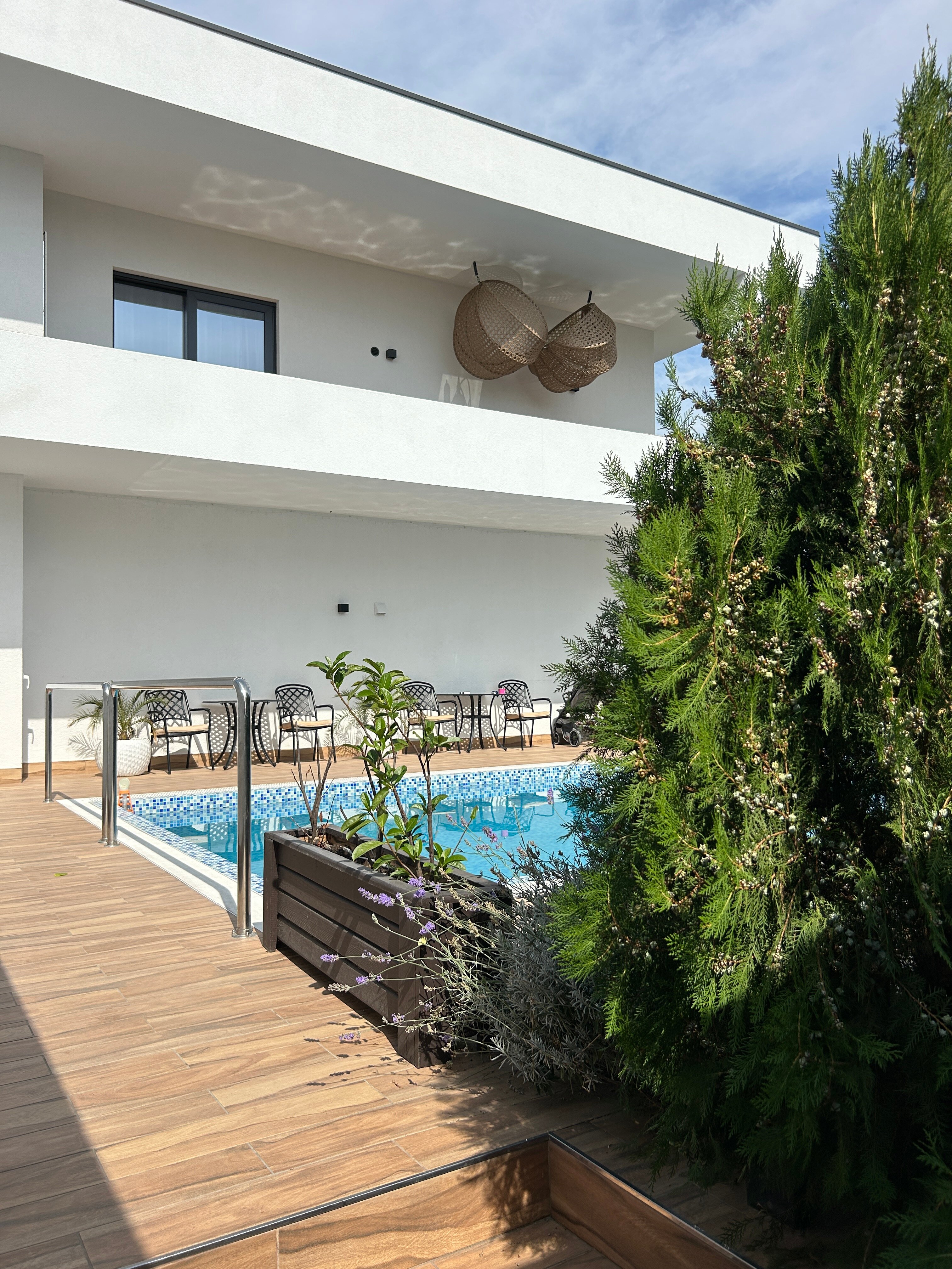 Фото Аристо